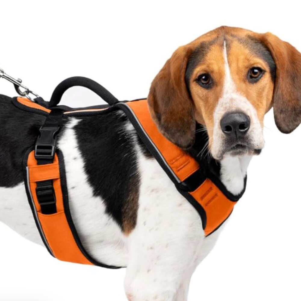 NWT PETSAFE EASYSPORT DOG HARNESS LARGE